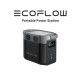 EcoFlow DELTA 2 Portable Power Station