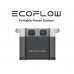 EcoFlow DELTA 2 Portable Power Station